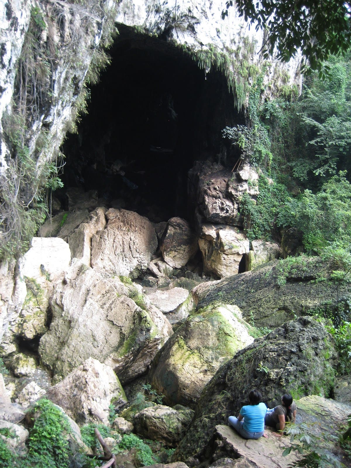 NHCP Photo Collection, 1984