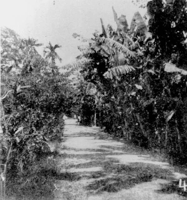 NHCP Photo Collection, 1984