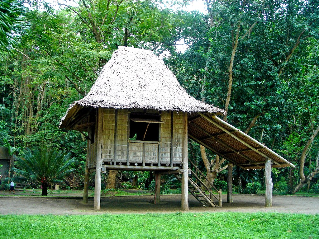 NHCP Photo Collection, 1988